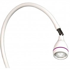 Focus 4 W LED lamp for...