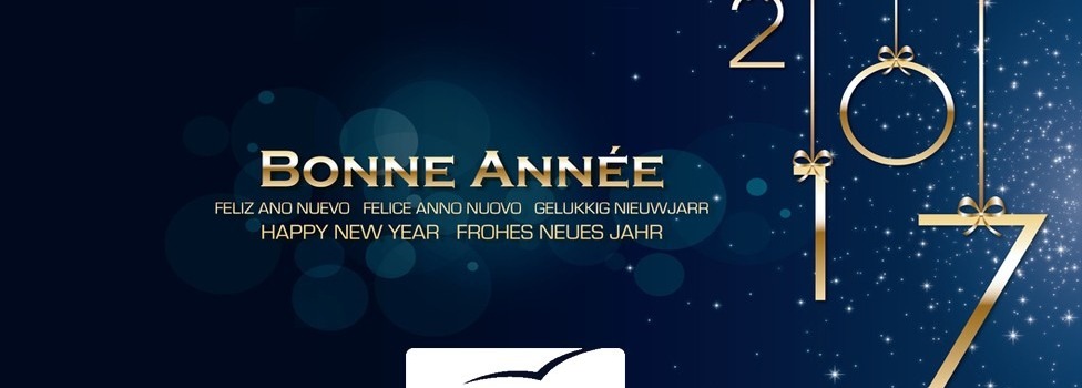 Felice anno nuovo 2017 !